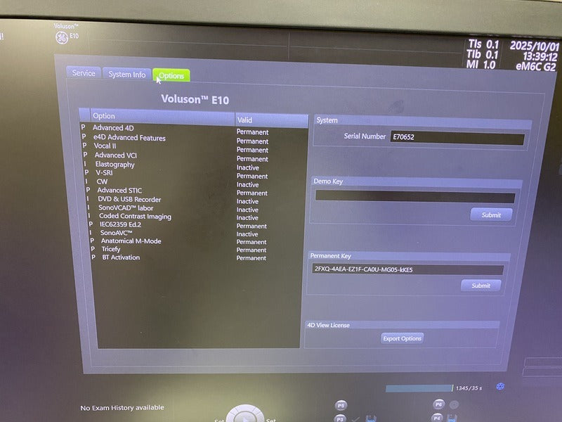 GE voluson E10 (2018 Model) WITH GE RAB / RIC-type 4D Volume Probe
