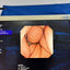 OLYMPUS GIF-XP260 SN.2300558 refurbished equipment
