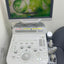Toshiba Xario 100 ultrasound with cardiac,linear and convex probe refurbished equipment
