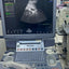 GE Voluson S6 with convex and TVS probe Year 2013