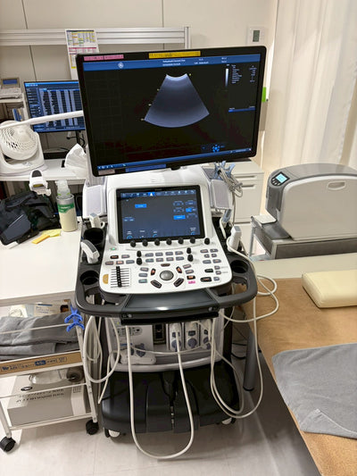 GE Vivid E95 Ultra Edition V206 Ultrasound with sector probe, 4D probe, linear probe and convex probe.