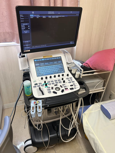 GE VIVID E95